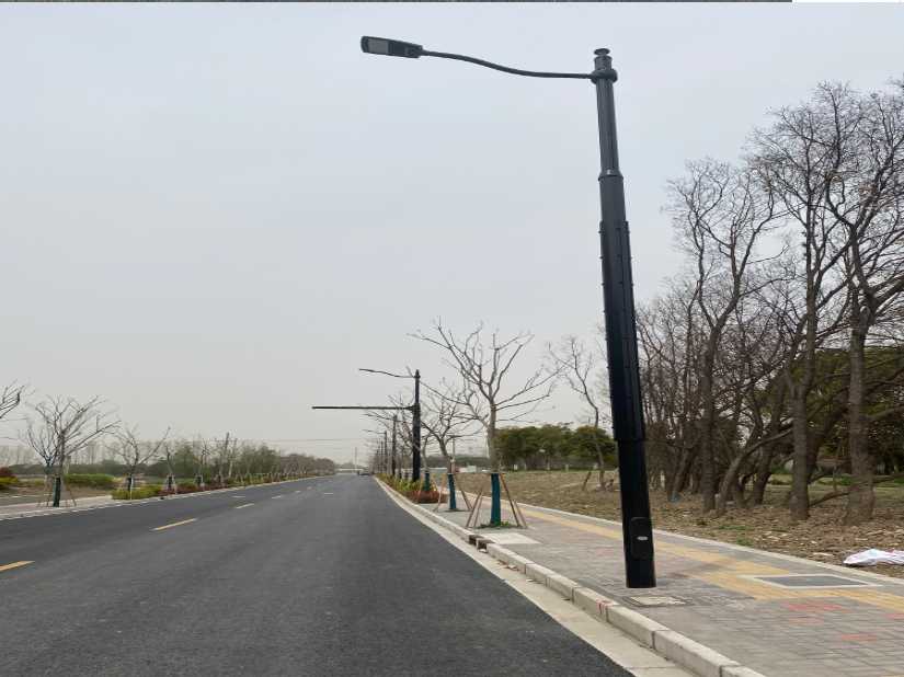夏津县上海综合杆 太阳能路灯工程